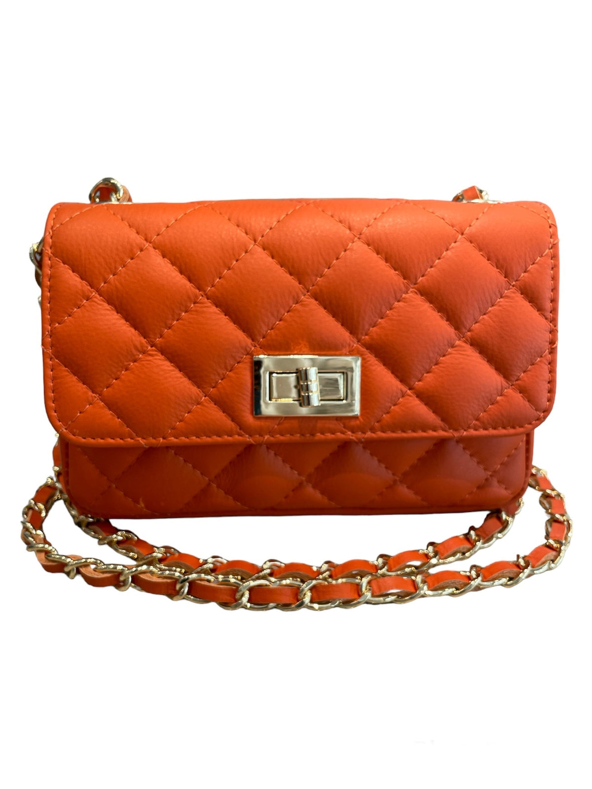 Double Chain Leather Handbag